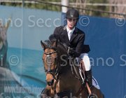 Schuttert Up to Date TosTour2013- S5 2150 : Arezzo, Arezzo Equestrian Centre, Schuttert Hendrik, Toscana Tour 2013, Up to Date, foto di Stefano Secchi ©